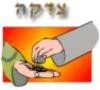 Purim Fund
