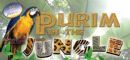 The Purim Zone